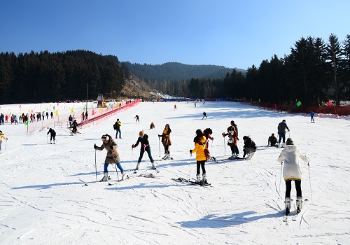 1703059708360046.jpg 2.大通康樂(lè)滑雪場(chǎng).jpg